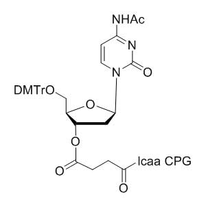 deoxy Cytidine (n-acetyl) 3'-lcaa CPG 2000?