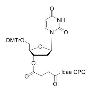 deoxy Uridine 3'-lcaa CPG 2000?