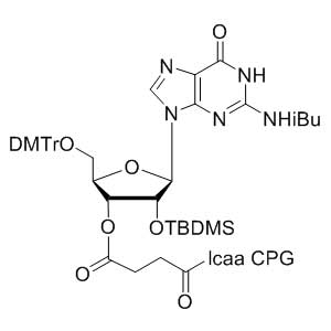 2'-tBDSilyl Guanosine (n-ibu) 3'-lcaa CPG 2000?