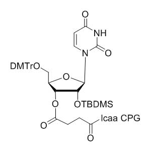 2'-tBDSilyl Uridine 3'-lcaa CPG 2000?