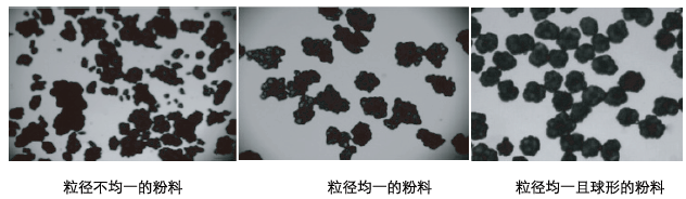 濾芯