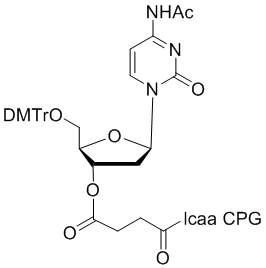 deoxy Cytidine (n-acetyl) 3'-lcaa CPG 1000?