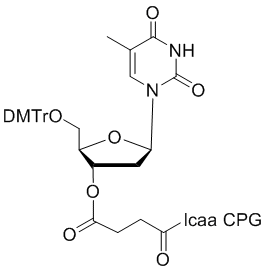 Thymidine 3'-lcaa CPG 1000?