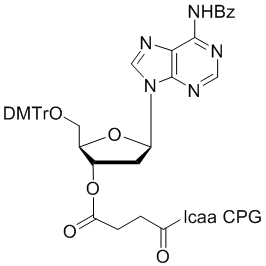 deoxy Adenosine (n-bz) 3'-lcaa CPG 1000?