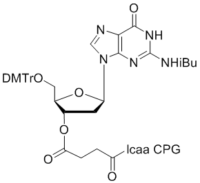 deoxy Guanosine (n-ibu) 3'-lcaa CPG 2000?