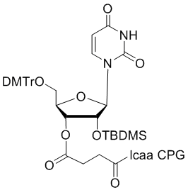 2'-tBDSilyl Uridine 3'-lcaa CPG 2000?