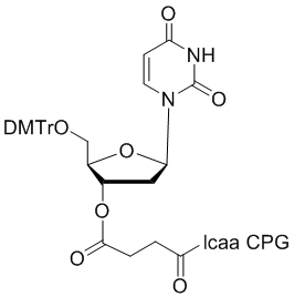 deoxy Uridine 3'-lcaa CPG 2000?