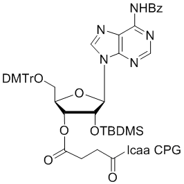 2'-tBDSilyl Adenosine (n-bz) 3'-lcaa CPG 2000?