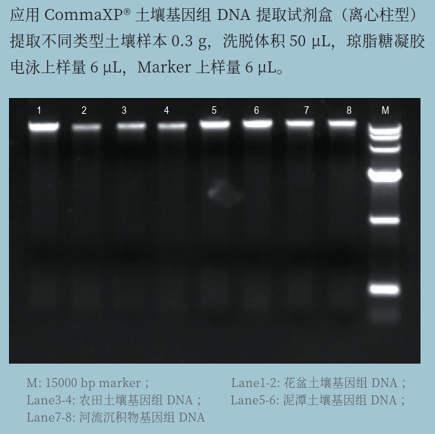 DNA提取試劑盒